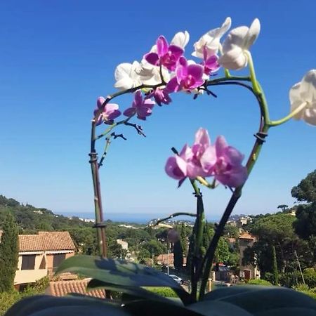 キャバレール・シュル・メールHameau Du Soleilアパートメント エクステリア 写真
